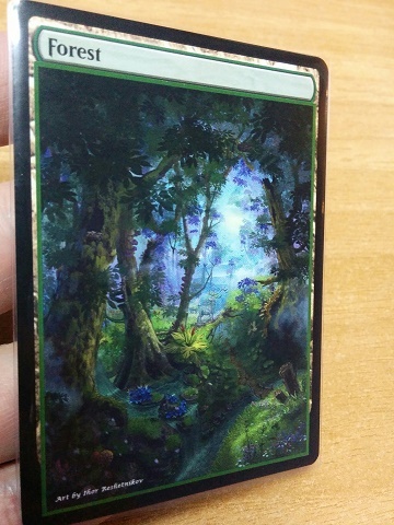 Forest #19